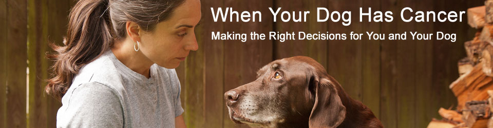 When Your Dog Has Cancer